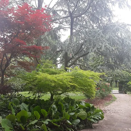 Brama レニャーゴ